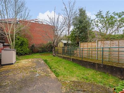 Picture 8